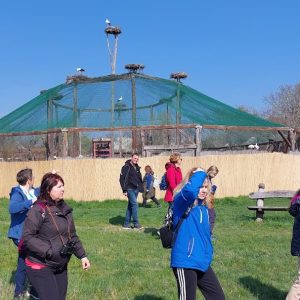 Madarakat engedünk szabadon, és hortobágyi gyalogtúra, kisbusszal