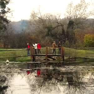 Fényes Tanösvény és alkonyati vadludak Tatán